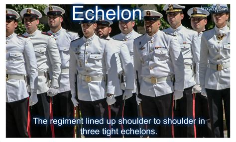 higher echelons meaning.